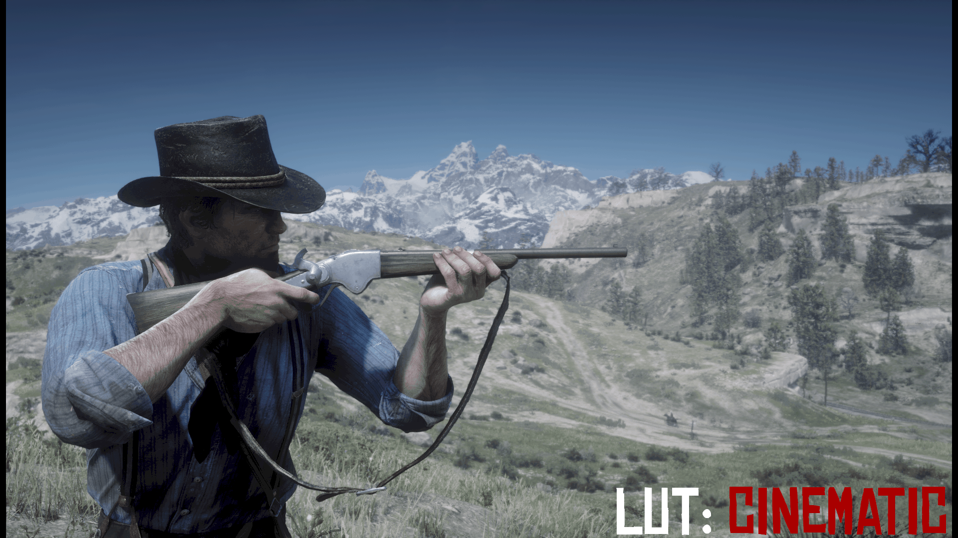 sandsynlighed bånd duft Red Dead Redemption 2 – Lut Color Grading – NVidia Ansel | Red Dead  Redemption 2 Mod Download