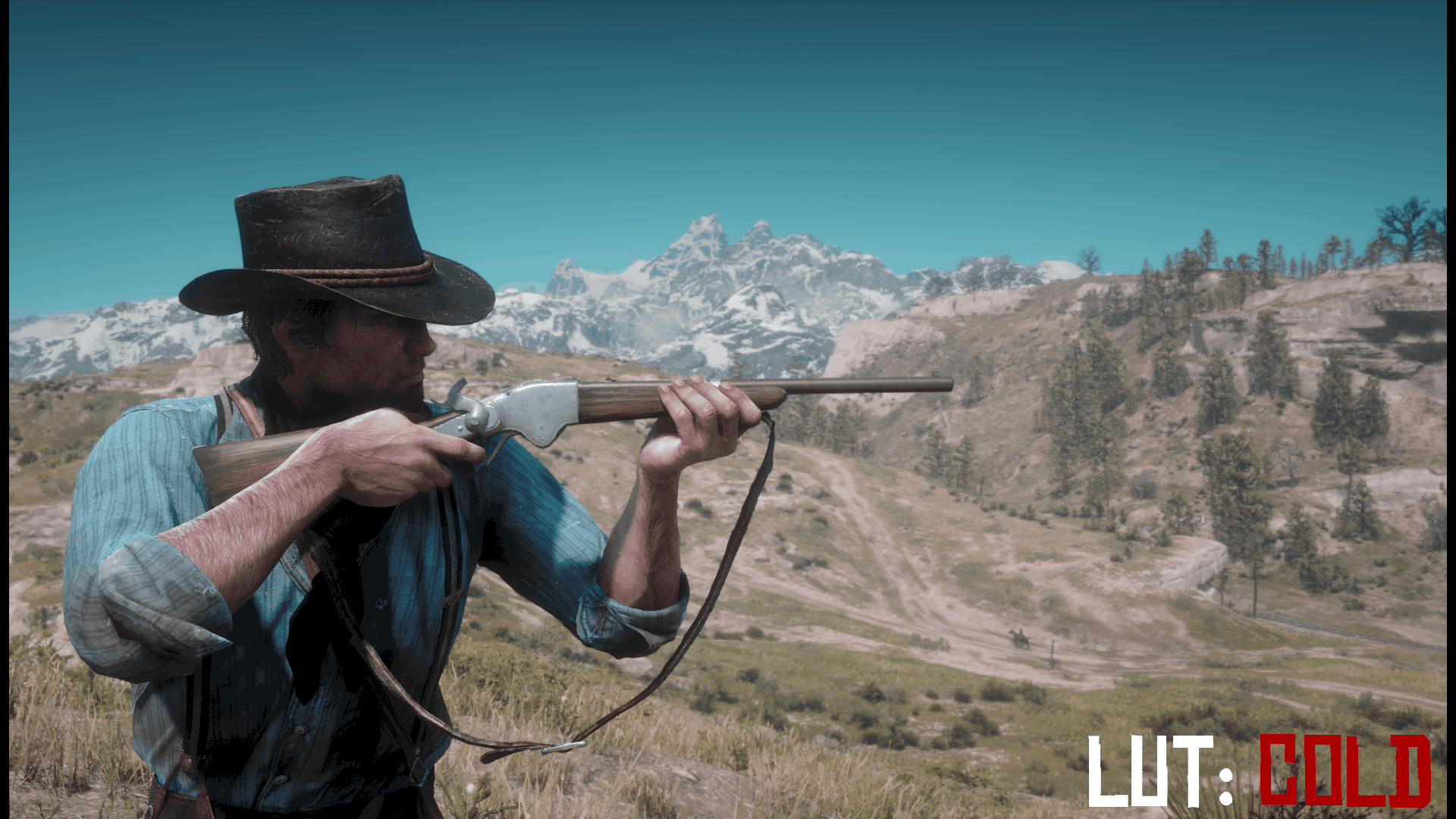 udstilling Trænge ind sand Red Dead Redemption 2 – Lut Color Grading – NVidia Ansel | Red Dead  Redemption 2 Mod Download