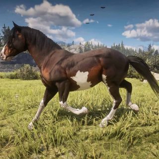 RDR2 Horse Texture ytd Resource Guide Mod | Red Dead Redemption 2 Mod ...